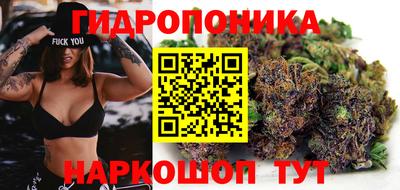 молекула духа Гатчина
