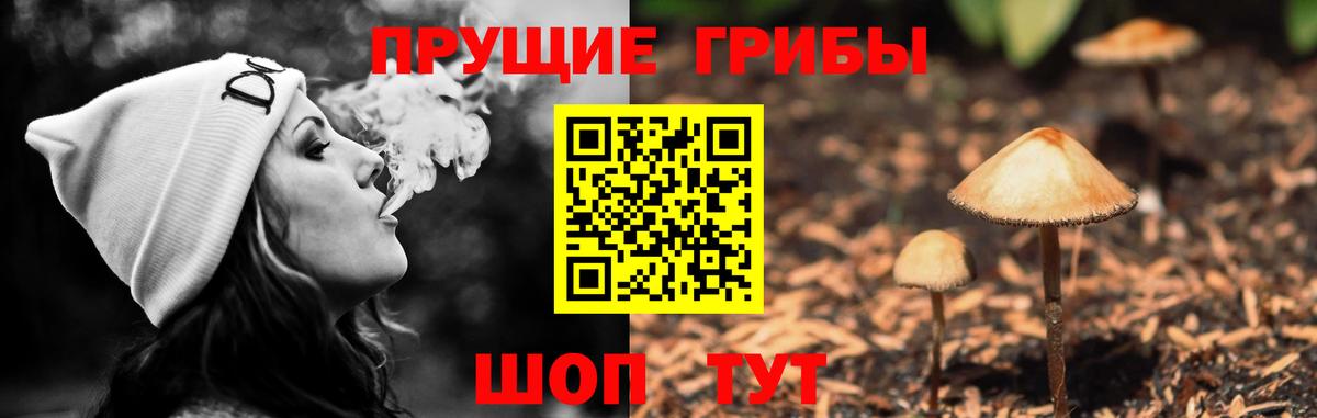Псилоцибиновые грибы прущие грибы Шарыпово